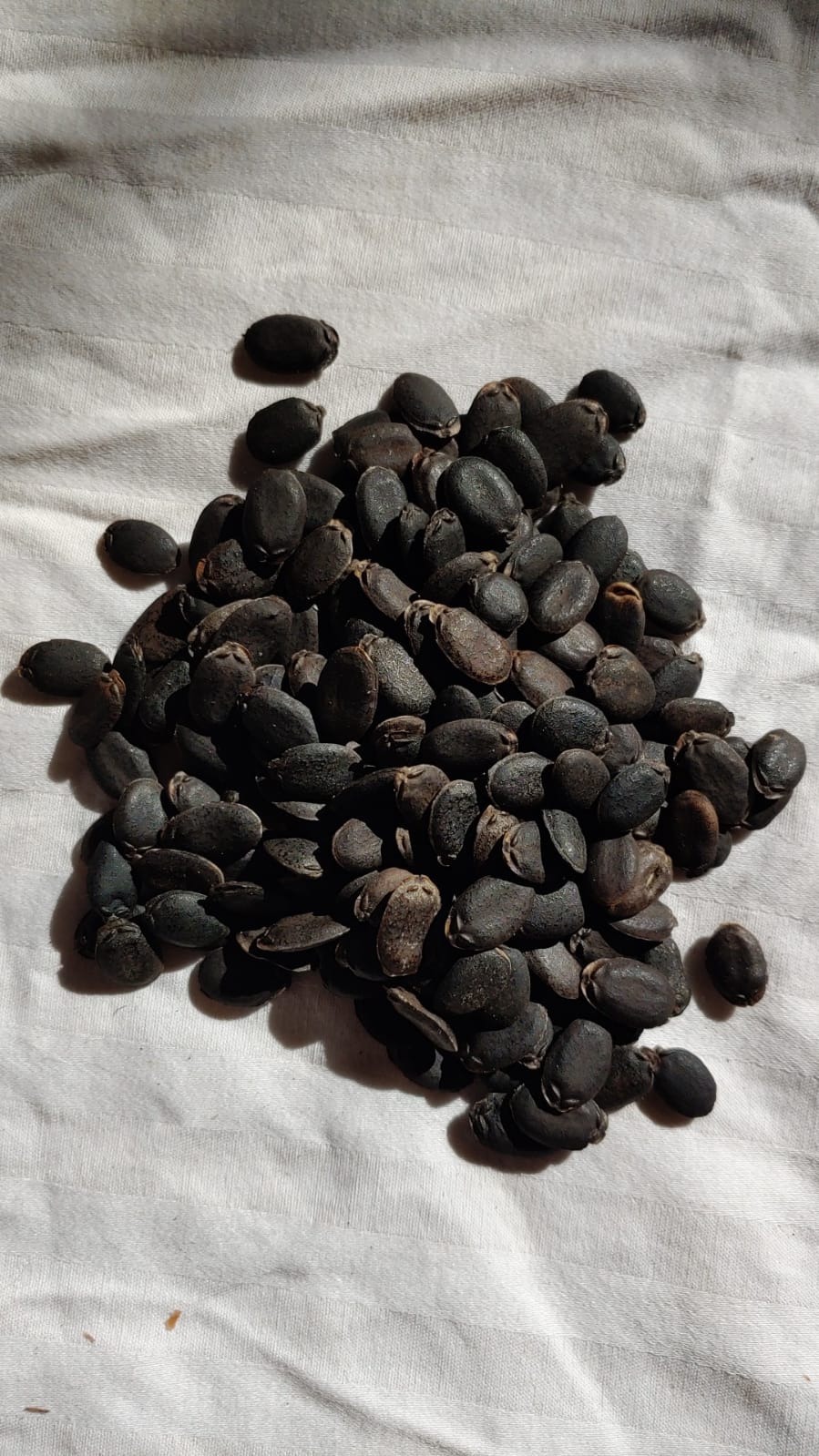 Tataristonda yalangoch qizlarning suratlari Tasmali jojalar tort oyoqqa turishadi