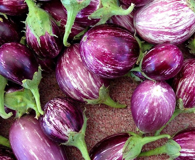 Eggplant/ Vankaya Purple with thornes | Kattula Family Farms